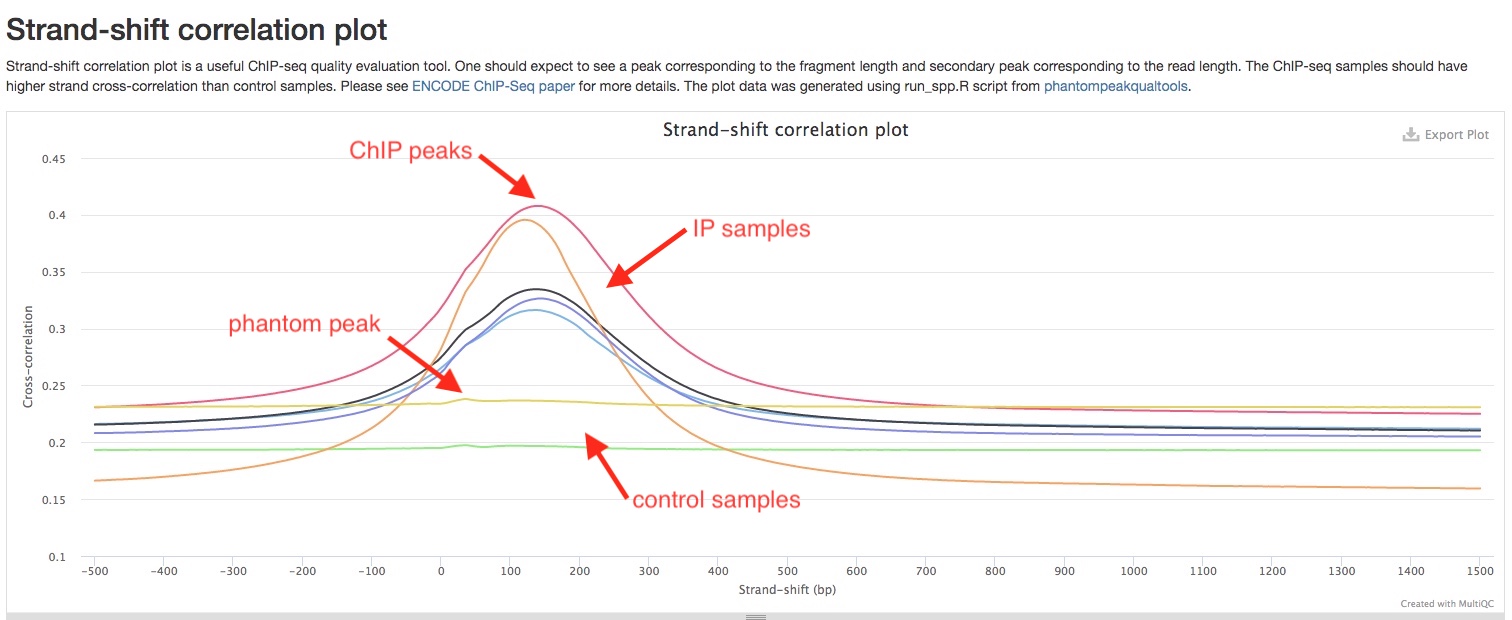 strand-shift correlation plot