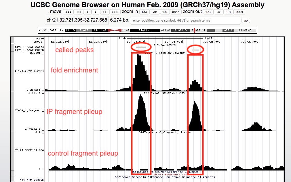 UCSC genome browser example