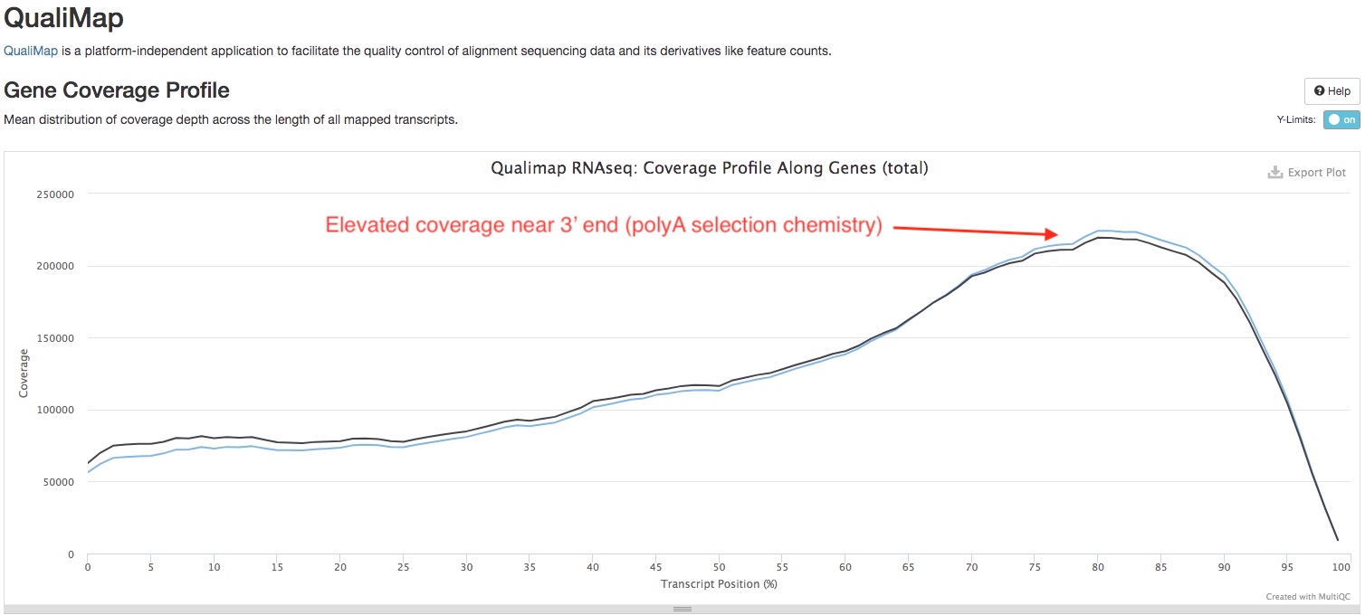 polyA QualiMap plot
