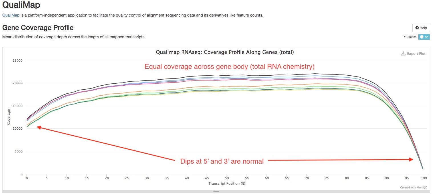 QualiMap plot