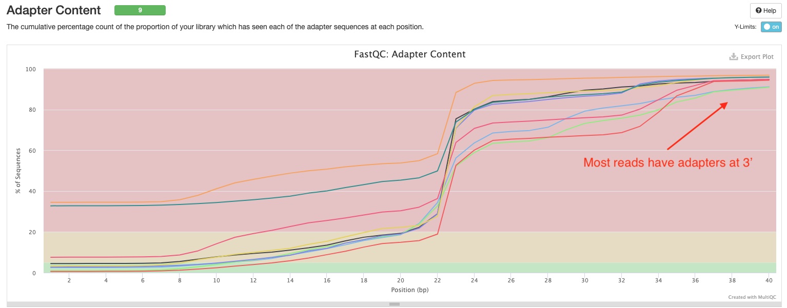 FastQC adapter content plot